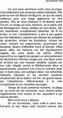 Les mouettes2 (2)